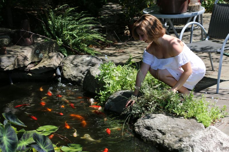 Pond Construction in Honolulu, HI