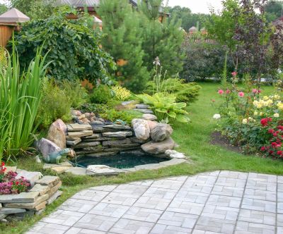 Pond Remodeling