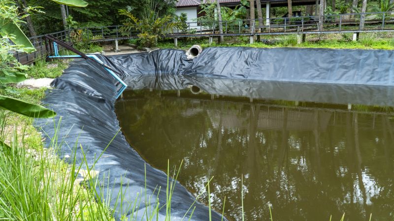 Pond Remodeling