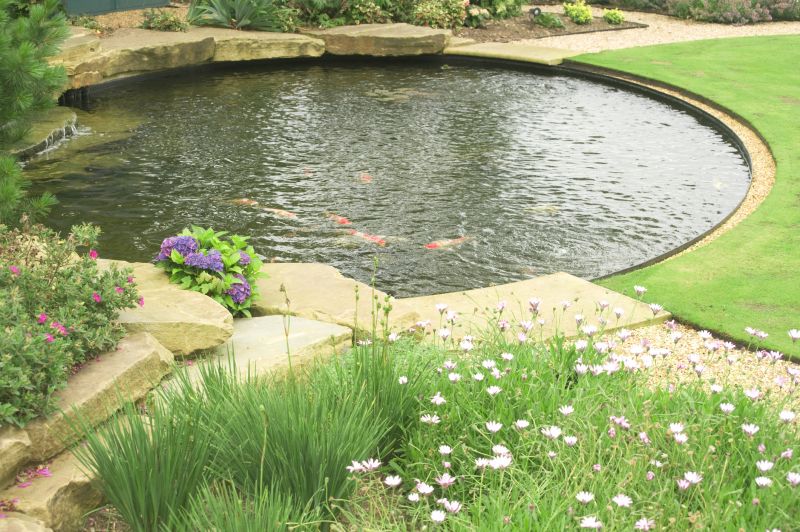 Pond Construction in Honolulu, HI