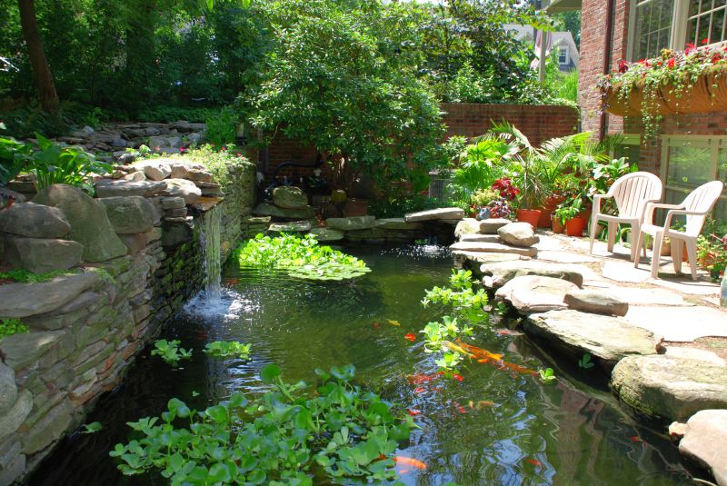 Pond Construction in Honolulu, HI