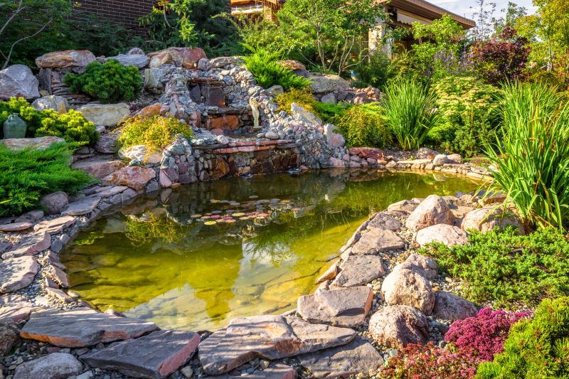 Pond Remodeling