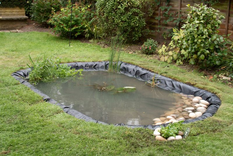 Pond Remodeling